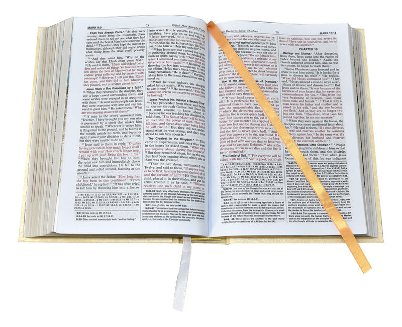 Large Type St. Joseph New Catholic Bible - Gift Edition