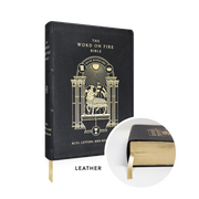 The Word on Fire Bible (Volume II): Acts, Letters and Revelation - Leather By Bishop Robert Barron
