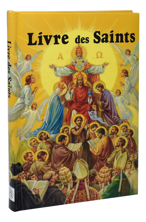 Livre Des Saints En Image