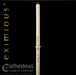Merciful Lamb Paschal Candle - Cathedral Candle - Beeswax - 17 Sizes