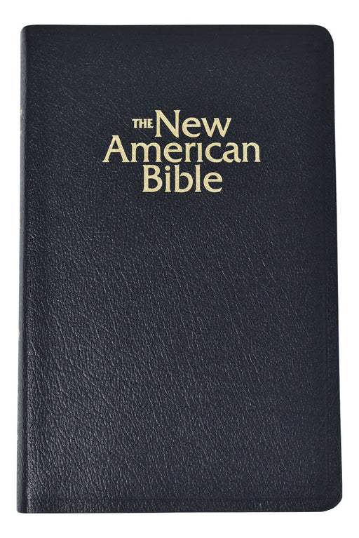 NABRE Deluxe Gift Bible - Black Indexed