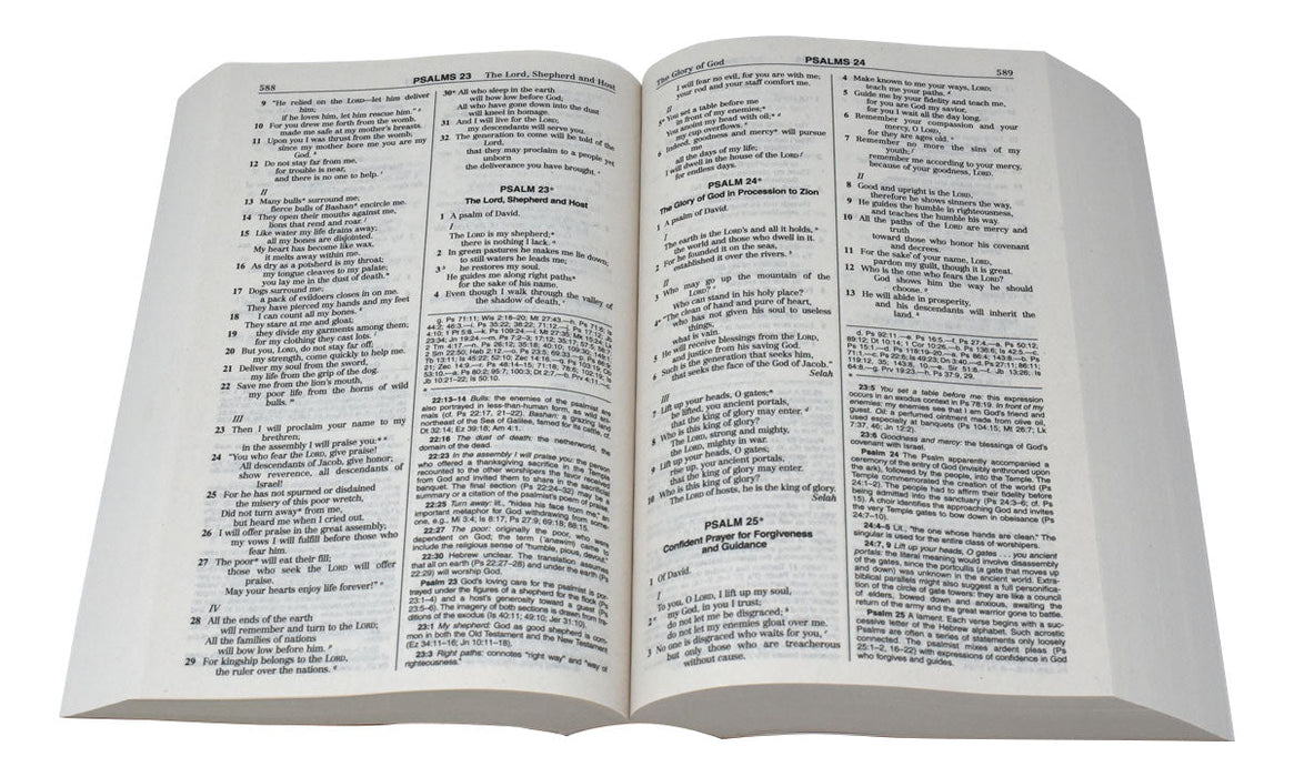 NABRE Student Edition Bible Paperback