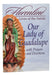 Our Lady Of Guadalupe With Prayers And Devotions