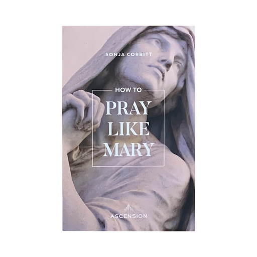 How to Pray Like Mary [Book]