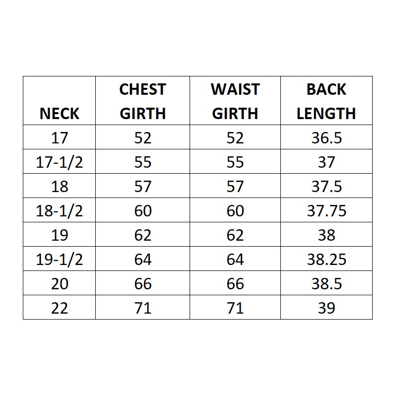 Roomey Toomey Big & Tall Shirt Long Sleeve