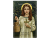 5" H Pocket Prayer Folder - Saints for Girls  St. Abigail - 12 Pieces Per Package