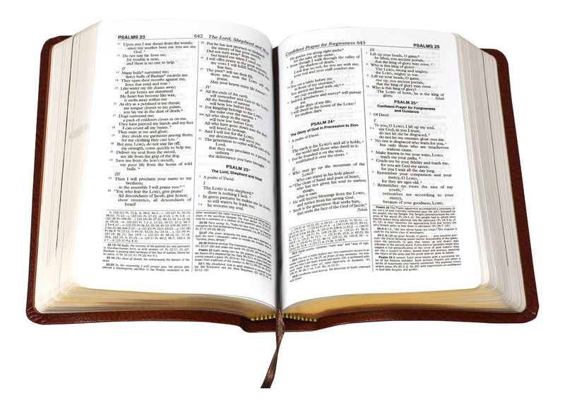 St. Joseph NABRE (Personal Size Gift Edition) - Brown