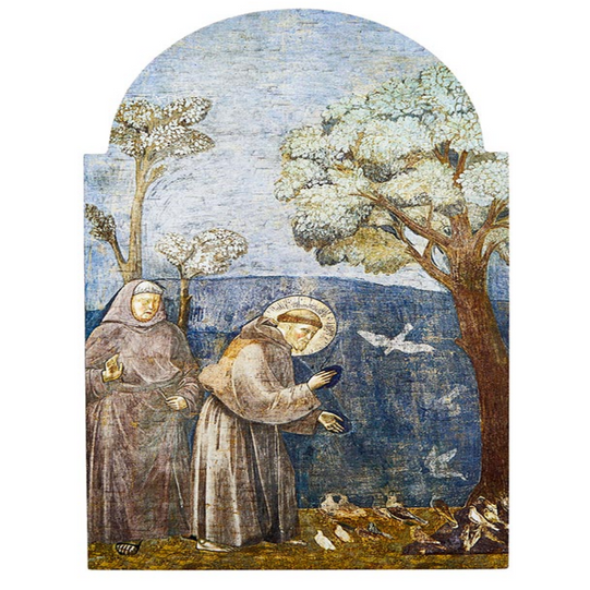 Placa arqueada Giotto San Francisco de 12" de alto 