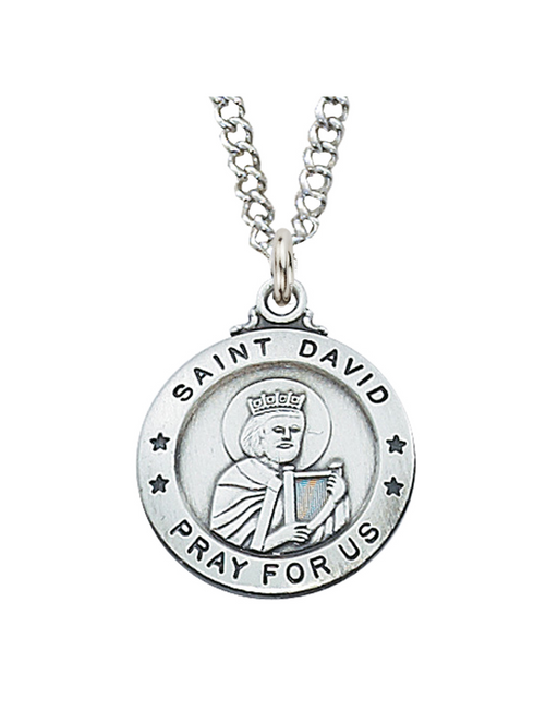 Sterling Silver St. David Medal with 20" Chain Holy Medals Holy Medal Necklace Medals for Protection Necklace for Protection