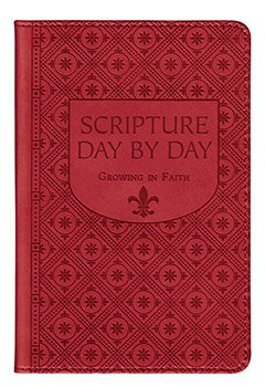 Scripture Day By Day Book , 4 pcs